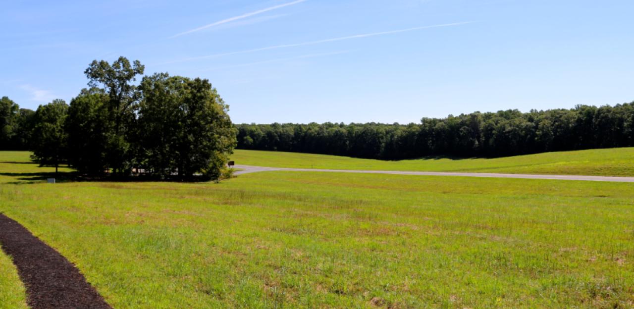 Photograph of Saunders Field at Wilderness